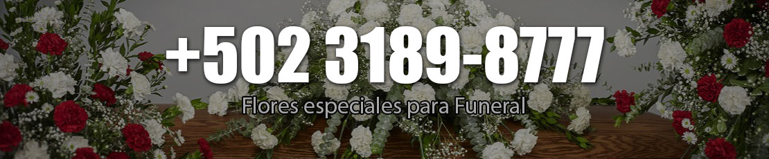 flores especiales para enviar a funeral guatemala
