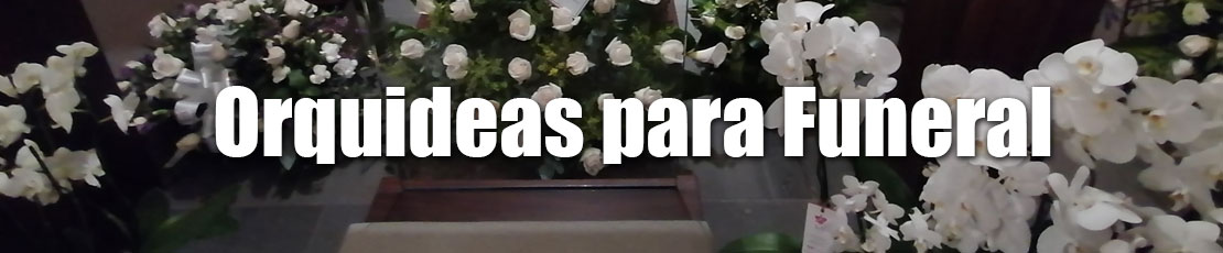 orquideas en guatemala para funeral