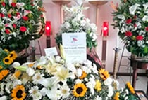 colección flores para funeral