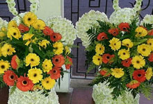 angeles de flores guatemala