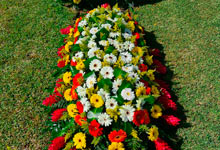 flores para amado ser querido fallecido