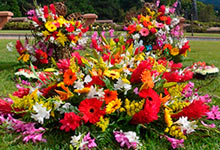 flores para cementerio 1 de noviembre