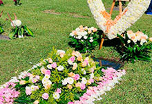 Flores bellas para difuntos en Cementerio