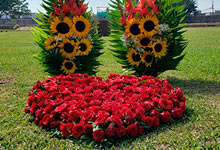 flores para decorar tumba de ser amado fallecido