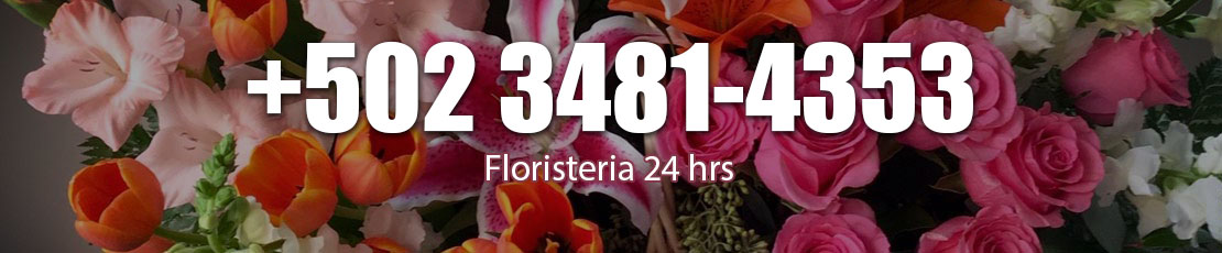 floristeria 24 hrs guatemala