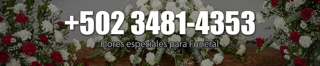 flores especiales para enviar a funeral guatemala